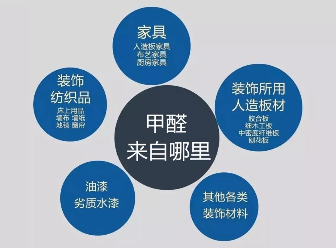 甲醛蘑菇视频官网版下载