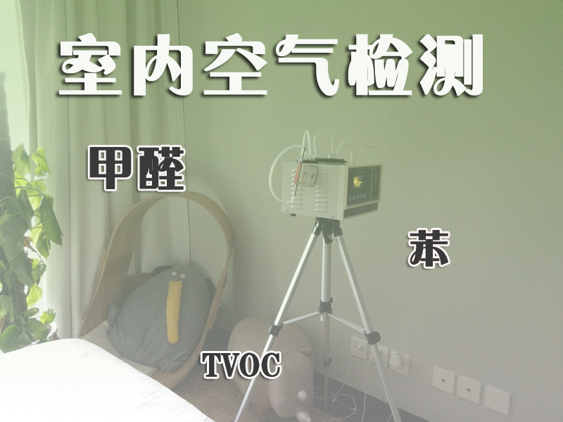 甲醛的蘑菇视频官网版下载